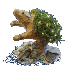 hedgehog